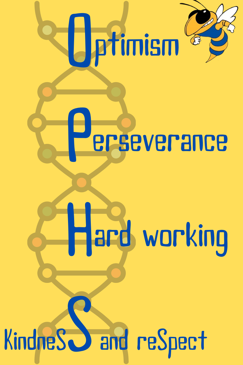 Stylized of the DNA of a Yellow Jacket, using OPHS as a mnemonic device